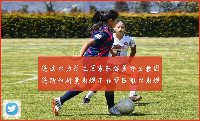 德波尔为荷兰国家队球员评分赖因德斯和科曼表现不佳萨默维尔表现最佳