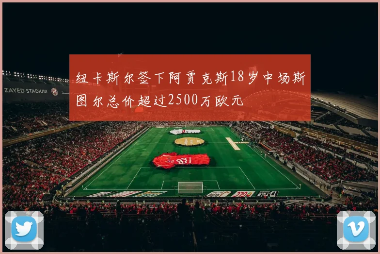 纽卡斯尔签下阿贾克斯18岁中场斯图尔总价超过2500万欧元